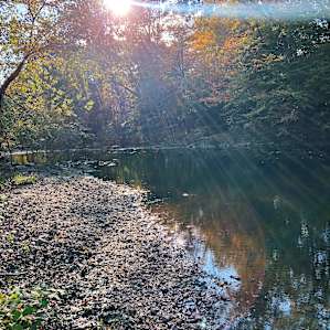 Creekside Camping 1