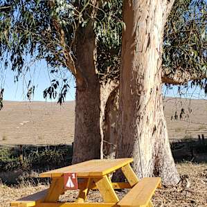 Great picnic tables with checkerboards