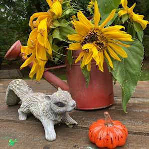 A great place to celebrate fall!