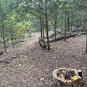 Texoma Woods