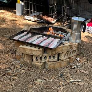 Woodsy Camping