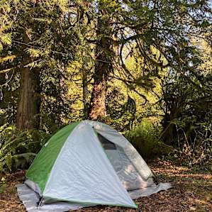 Hollyhock Farm Forest Retreat #1