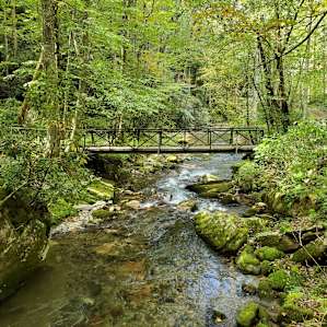 Waterfall Haven Campsite 12
