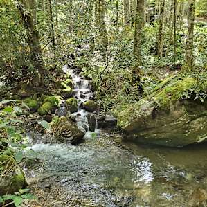 Waterfall Haven Campsite 12
