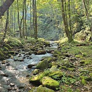 Waterfall Haven Campsite 12