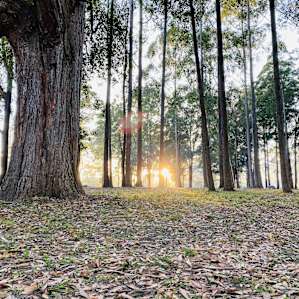 Coffs Harbour Camping & 4WD