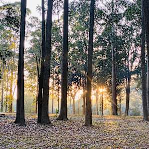 Coffs Harbour Camping & 4WD