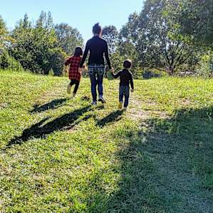 Wild Daisy Farm