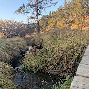 Whispering Winds Campsites