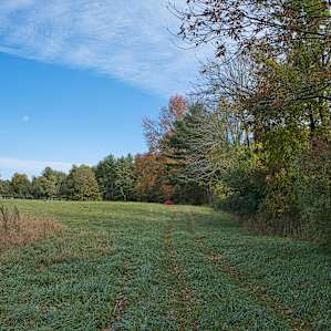 Our field! And our tiny red tent in the distance.
