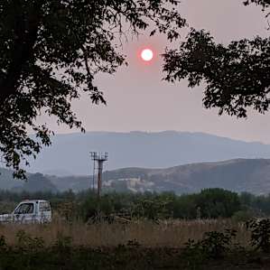 Orange sun (Glass fire was raging), and a view of the pear trees in the distance