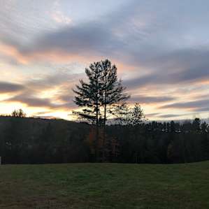 Dream Acres
