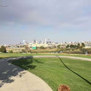 View from the park!