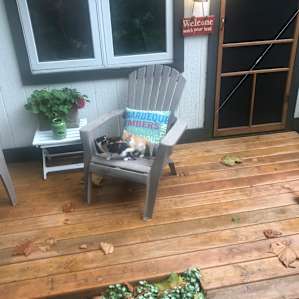 The Shed Retreat