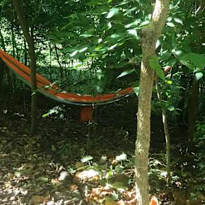 The Shed Retreat