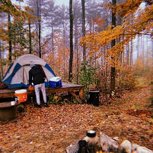 Beautiful Views, Come Camp!