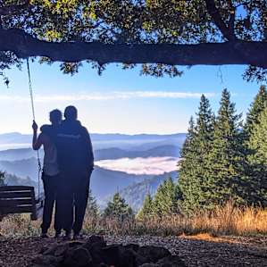 Taking in the view