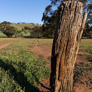 Riverton - Hills View Paddock