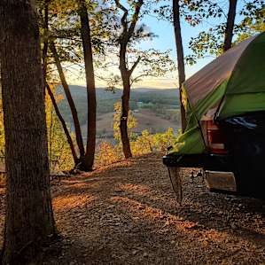Tall Oaks Campsite