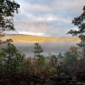 Tall Oaks Campsite