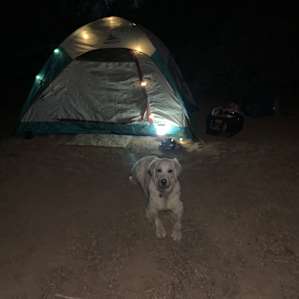 Site by night.