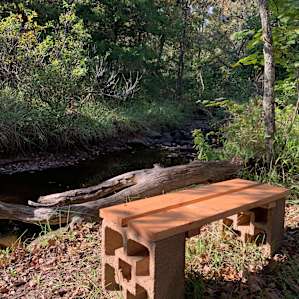 I loved this creekside bench that was right next to my campsite. I sat here meditating with a soundtrack of birds, crickets and a gentle breeze rustling through the trees