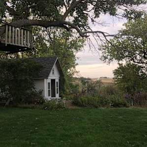 Food Forest Tent Site