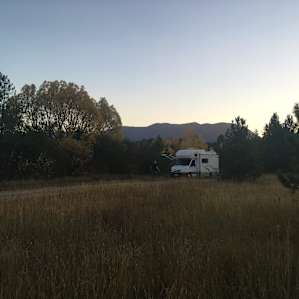 Evening in the meadow