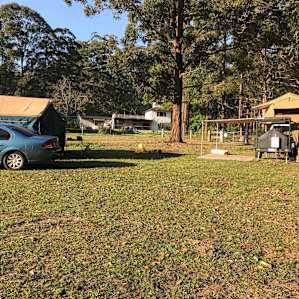 Bunyip's-Moo's Site Primitive Power