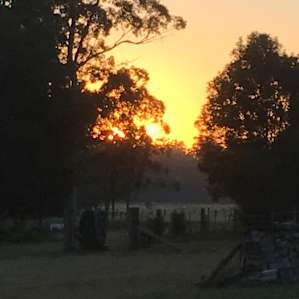 Good morning campers