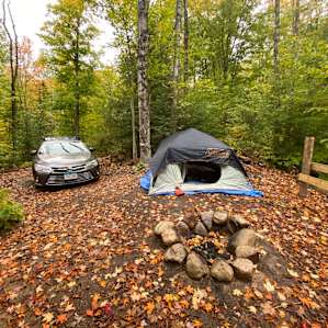 Neat Upper Peninsula Retreat