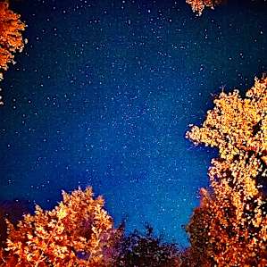 Neat Upper Peninsula Retreat