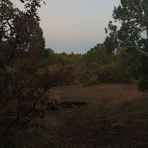 Secluded Tent near Indian Ruins