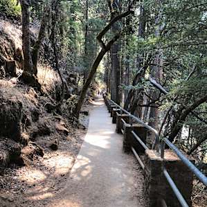 The short journey to the bottom of the falls
