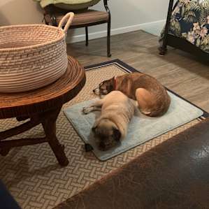 Two Tired Happy Campers