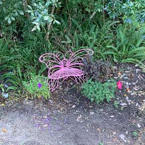 Pretty Garden near my Fire Pit