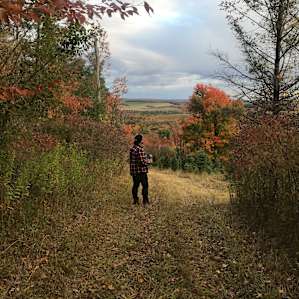 Camp George - Gem In The Woods