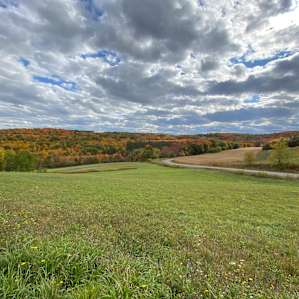 Camp George - Gem In The Woods