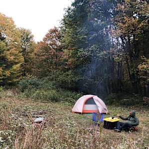 The Wildflower Meadow for Campers
