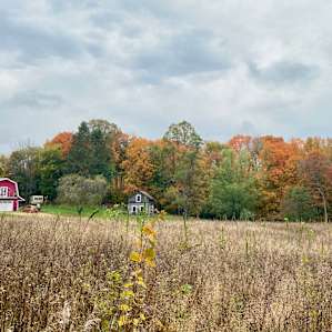 Meadow Camp at Good Root Growers