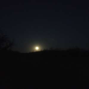 It was a full moon-- the photo does not do justice to the view we had.