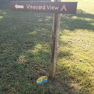 Vineyard View