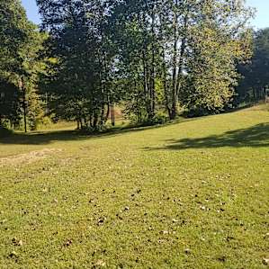 Vineyard View