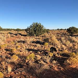 Lancelot desert camping