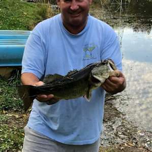 Songbird Suite on Large Pond