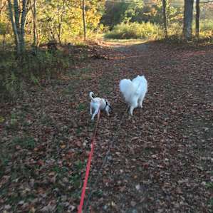 Here we are just as the sun was setting rustling through the leaves! Beautiful!