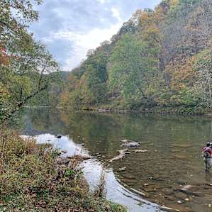 The Byrds Nest on the River