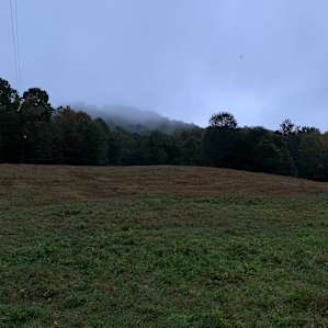 Shed site #2