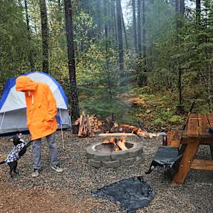 Pine Hollow Campsite