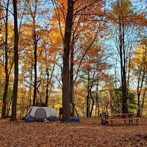 The Hill for Tents
